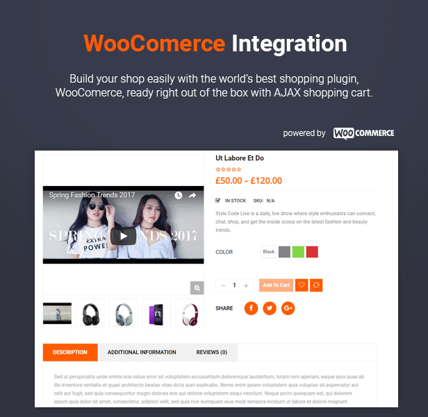 SW alishop - WooCommerce Theme