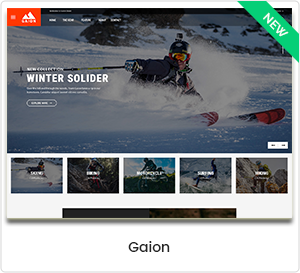 Gaion-sports accessories store WordPress WooCommerce theme