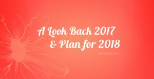 review-2017-&-plan-2018
