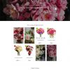 Rozy – Flower Shop WooCommerce WordPress Theme
