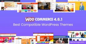 WooCommerce 4.6.1 Themes - Top Best Recommended Items!